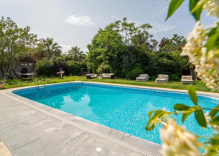 Bona Me Yalikavak 호텔